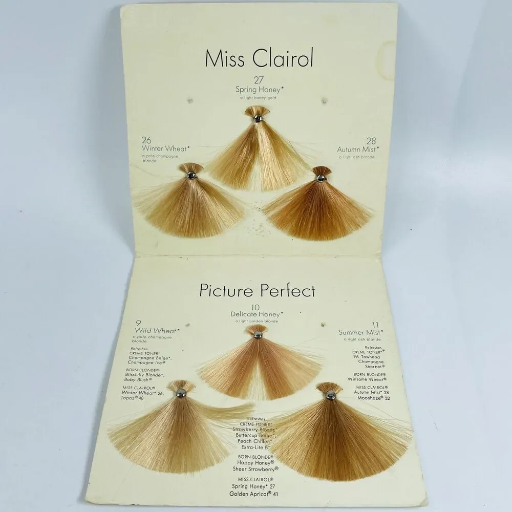 Vtg 1968 Miss Clairol Picture Perfect Hair Color Blonde Shade Chart Beauty Shop